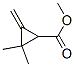Cyclopropanecarboxylic acid, 2,2-dimethyl-3-methylene-, methyl ester (9CI) CAS#: 65051-69-6