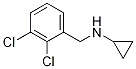 Cyclopropyl-(2,3-dichloro-benzyl)-aMine CAS#: 625437-42-5