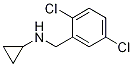 Cyclopropyl-(2,5-dichloro-benzyl)-aMine CAS#: 680591-59-7