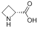 D-AZETIDINE-2-CARBOXYLIC ACID CAS#: 7729-30-8