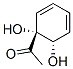 Ethanone, 1-[(1R,6S)-1,6-dihydroxy-2,4-cyclohexadien-1-yl]- (9CI) CAS#: 623563-55-3