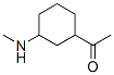 Ethanone, 1-[3-(methylamino)cyclohexyl]- (9CI) CAS#: 67654-10-8
