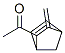 Ethanone, 1-(3-methylenebicyclo[2.2.1]hept-5-en-2-yl)- (9CI) CAS#: 177266-29-4