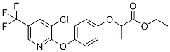 Ethyl 2-(4-((3-chloro-5-(trifluoroMethyl)pyridin-2-yl)oxy)phenoxy)propanoate CAS#: 69806-42-4