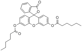 FLUORESCEIN DICAPROATE CAS#: 7364-90-1