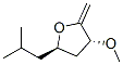 Furan, tetrahydro-3-methoxy-2-methylene-5-(2-methylpropyl)-, (3R,5R)- (9CI) CAS#: 630096-90-1