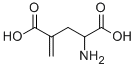 GAMMA-METHYLENE-DL-GLUTAMIC ACID CAS#: 7150-74-5