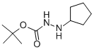 Hydrazinecarboxylic acid, 2-cyclopentyl-, 1,1-dimethylethyl ester (9CI) CAS#: 646071-31-0