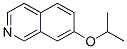 Isoquinoline, 7-(1-methylethoxy)- (9CI) CAS#: 660398-05-0