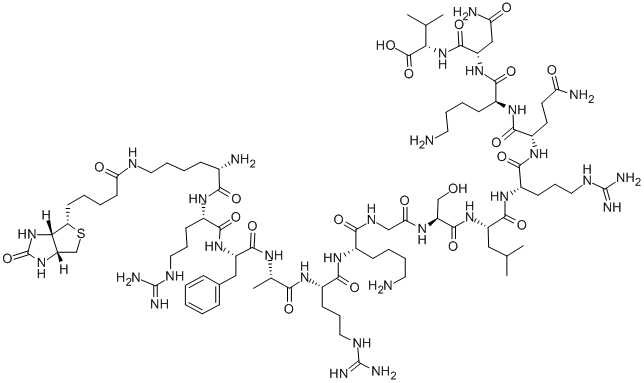 K(BIOTIN)-RFARKGSLRQKNV CAS#: 177966-62-0