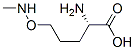 L-Norvaline, 5-[(methylamino)oxy]- (9CI) CAS#: 183994-92-5
