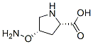 L-Proline, 4-(aminooxy)-, (4S)- (9CI) CAS#: 183994-91-4