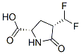 L-Proline, 4-(difluoromethyl)-5-oxo-, (4S)- (9CI) CAS#: 527705-01-7