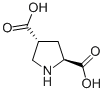 L-TRANS-PYRROLIDINE-2,4-DICARBOXYLIC ACID CAS#: 64769-66-0