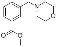 METHYL 3-(MORPHOLIN-4-YLMETHYL)BENZOATE CAS#: 190660-95-8