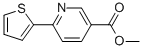 METHYL 6-THIEN-2-YLNICOTINATE 97 CAS#: 179408-53-8
