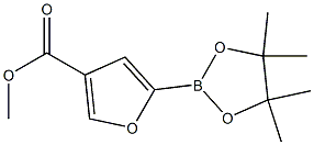 Methyl 5-(4,4,5,5-tetraMethyl-1,3,2-dioxaborolan-2-yl)furan-3-carboxylate CAS#: 676501-87-4
