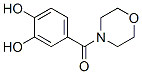 Morpholine, 4-(3,4-dihydroxybenzoyl)- (9CI) CAS#: 656804-32-9