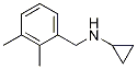 N-(2,3-diMethylbenzyl)cyclopropanaMine CAS#: 625437-38-9