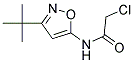 N-(3-TERT-BUTYL-ISOXAZOL-5-YL)-2-CHLORO-ACETAMIDE CAS#: 668980-81-2