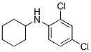 N-CYCLOHEXYL-2,4-DICHLOROANILINE CAS#: 177721-90-3