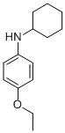 N-cyclohexyl-4-ethoxyaniline CAS#: 721-91-5