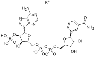 NADP MONOPOTASSIUM SALT CAS#: 68141-45-7