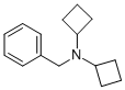 N,N-DICYCLOBUTYLBENZYLAMINE CAS#: 177721-42-5