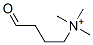 N,N,N-trimethyl-4-oxobutan-1-aminium CAS#: 64595-66-0