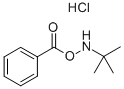 O-Benzoyl-N-tert-butylhydroxylamine Hydrochloride CAS#: 66809-86-7