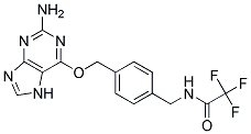 O6-[4-(TRIFLUOROACETAMIDOMETHYL)BENZYL]GUANINE CAS#: 680622-70-2