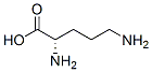 Ornithine CAS#: 7006-33-9