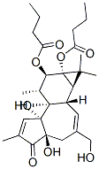 PHORBOLDIBUTYRATE CAS#: 61557-88-8