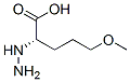 Pentanoic acid, 2-hydrazino-5-methoxy-, (S)- (9CI) CAS#: 179746-89-5