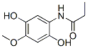Propanamide, N-(2,5-dihydroxy-4-methoxyphenyl)- (9CI) CAS#: 186293-62-9