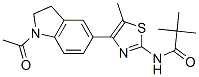 Propanamide, N-[4-(1-acetyl-2,3-dihydro-1H-indol-5-yl)-5-methyl-2-thiazolyl]-2,2-dimethyl- (9CI) CAS#: 606121-87-3