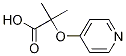 Propanoic acid, 2-Methyl-2-(4-pyridinyloxy)- CAS#: 605680-47-5