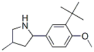 Pyrrolidine, 2-[3-(1,1-dimethylethyl)-4-methoxyphenyl]-4-methyl- (9CI) CAS#: 603068-79-7