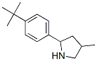 Pyrrolidine, 2-[4-(1,1-dimethylethyl)phenyl]-4-methyl- (9CI) CAS#: 603068-88-8