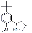 Pyrrolidine, 2-[5-(1,1-dimethylethyl)-2-methoxyphenyl]-4-methyl- (9CI) CAS#: 603068-96-8