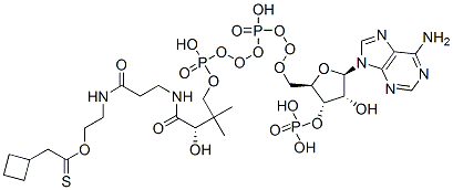 S-[2-[3-[[4-[[[(2R,3S,4R,5R)-5-(6-aminopurin-9-yl)-4-hydroxy-3-phosphonooxyoxolan-2-yl]methoxy-hydroxyphosphoryl]oxy-hydroxyphosphoryl]oxy-2-hydroxy-3,3-dimethylbutanoyl]amino]propanoylamino]ethyl] 2-cyclobutylethanethioate CAS#: 6599-65-1