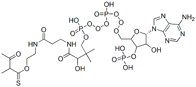 S-[2-[3-[[4-[[[5-(6-aminopurin-9-yl)-4-hydroxy-3-phosphonooxyoxolan-2-yl]methoxy-hydroxyphosphoryl]oxy-hydroxyphosphoryl]oxy-2-hydroxy-3,3-dimethylbutanoyl]amino]propanoylamino]ethyl] 2-methyl-3-oxobutanethioate CAS#: 6712-01-2