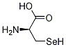 (S)-2-aMino-3-hydroselenopropanoic acid CAS#: 176300-66-6