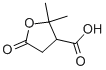 TEREBIC ACID CAS#: 79-91-4
