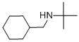 TERT-BUTYL-CYCLOHEXYLMETHYL-AMINE CAS#: 65055-37-0
