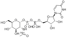 URIDINE DIPHOSPHATE N-ACETYL-D-GLUCOSAMINE, [ACETYL-1-14C] CAS#: 69616-95-1