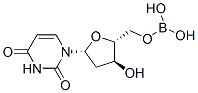 dihydroxyboryldeoxyuridine CAS#: 70577-63-8