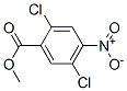 methyl 2,5-dichloro-4-nitrobenzoate CAS#: 63105-61-3