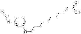 omega-(3-azidophenoxy)undecanoic acid CAS#: 65114-63-8