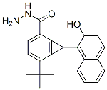 p-(tert-butyl)[(2-hydroxy-1-naphthyl)methylene]benzohydrazide CAS#: 68758-85-0